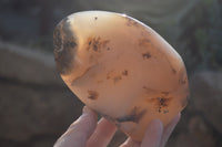 Polished Dendritic Agate Standing Free Forms x 2 From Madagascar