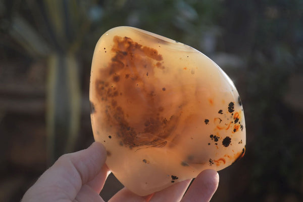 Polished Dendritic Agate Standing Free Forms x 2 From Madagascar