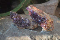 Natural Amethystos Amethyst Plates x 7 From Kwaggafontein, South Africa