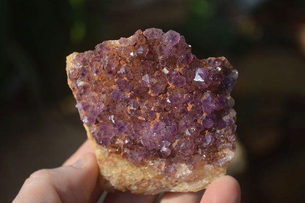 Natural Amethystos Amethyst Plates x 7 From Kwaggafontein, South Africa