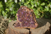 Natural Amethystos Amethyst Plates x 7 From Kwaggafontein, South Africa