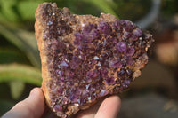 Natural Amethystos Amethyst Plates x 7 From Kwaggafontein, South Africa