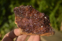 Natural Amethystos Amethyst Plates x 7 From Kwaggafontein, South Africa