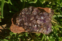 Natural Amethystos Amethyst Plates x 7 From Kwaggafontein, South Africa