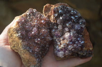 Natural Amethystos Amethyst Plates x 7 From Kwaggafontein, South Africa