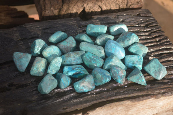 Polished Chrysocolla and Shattuckite Free Forms x 35 From Congo