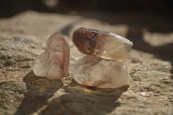 Natural Red Hematoid Quartz Single Small Clusters x 63 From Karoi, Zimbabwe