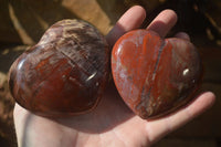 Polished Red Podocarpus Petrified Wood Hearts x 6 From Mahajanga, Madagascar