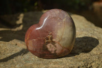 Polished Red Podocarpus Petrified Wood Hearts x 6 From Mahajanga, Madagascar