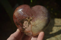 Polished Red Podocarpus Petrified Wood Hearts x 6 From Mahajanga, Madagascar