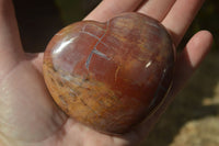 Polished Red Podocarpus Petrified Wood Hearts x 6 From Mahajanga, Madagascar