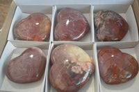 Polished Red Podocarpus Petrified Wood Hearts x 6 From Mahajanga, Madagascar