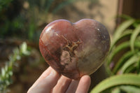 Polished Red Podocarpus Petrified Wood Hearts x 6 From Mahajanga, Madagascar