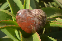 Polished Red Podocarpus Petrified Wood Hearts x 6 From Mahajanga, Madagascar