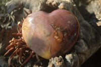 Polished Red Podocarpus Petrified Wood Hearts x 6 From Mahajanga, Madagascar