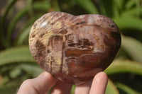 Polished Red Podocarpus Petrified Wood Hearts x 6 From Mahajanga, Madagascar