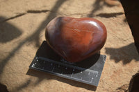 Polished Red Podocarpus Petrified Wood Hearts x 6 From Mahajanga, Madagascar