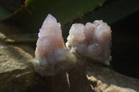 Natural Amethyst and Ametrine Spirit Quartz Clusters x 12 From Boekenhouthoek, South Africa