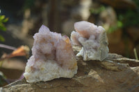 Natural Amethyst and Ametrine Spirit Quartz Clusters x 12 From Boekenhouthoek, South Africa