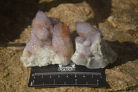 Natural Amethyst and Ametrine Spirit Quartz Clusters x 12 From Boekenhouthoek, South Africa