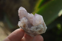 Natural Amethyst and Ametrine Spirit Quartz Clusters x 12 From Boekenhouthoek, South Africa