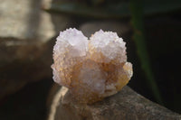 Natural Amethyst and Ametrine Spirit Quartz Clusters x 12 From Boekenhouthoek, South Africa