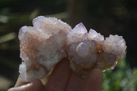 Natural Amethyst and Ametrine Spirit Quartz Clusters x 12 From Boekenhouthoek, South Africa