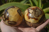 Polished Septerye Spheres x 4 From Mahajanga, Madagascar