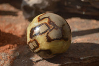 Polished Septerye Spheres x 4 From Mahajanga, Madagascar