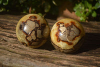 Polished Septerye Spheres x 4 From Mahajanga, Madagascar