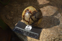 Polished Septerye Spheres x 4 From Mahajanga, Madagascar