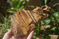 Natural Nguni Jasper Cobbed Specimens x 4 From Prieska, South Africa