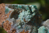 Natural Drusy Coated Chrysocolla with Splash of Malachite x 3 From Likasi, Congo