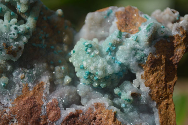 Natural Drusy Coated Chrysocolla with Splash of Malachite x 3 From Likasi, Congo