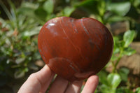 Polished Podocarpus Petrified Wood Hearts x 2 From Mahajanga, Madagascar