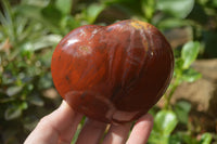 Polished Podocarpus Petrified Wood Hearts x 2 From Mahajanga, Madagascar