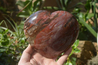 Polished Podocarpus Petrified Wood Hearts x 2 From Mahajanga, Madagascar