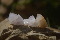 Natural White and Amethyst Spirit Quartz Single Crystals x 70 From Boekenhouthoek, South Africa