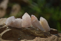 Natural White and Amethyst Spirit Quartz Single Crystals x 70 From Boekenhouthoek, South Africa