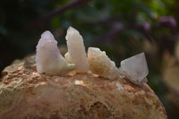 Natural White and Amethyst Spirit Quartz Single Crystals x 70 From Boekenhouthoek, South Africa