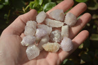 Natural White and Amethyst Spirit Quartz Single Crystals x 70 From Boekenhouthoek, South Africa