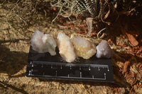 Natural White and Amethyst Spirit Quartz Single Crystals x 70 From Boekenhouthoek, South Africa