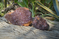 Natural Amethystos Amethyst Plates x 5 From Kwaggafontein, South Africa