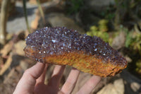 Natural Amethystos Amethyst Plates x 5 From Kwaggafontein, South Africa