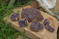 Natural Amethystos Amethyst Plates x 5 From Kwaggafontein, South Africa