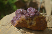 Natural Amethystos Amethyst Plates x 5 From Kwaggafontein, South Africa