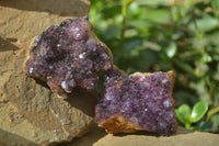 Natural Amethystos Amethyst Plates x 5 From Kwaggafontein, South Africa