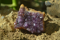 Natural Amethystos Amethyst Plates x 5 From Kwaggafontein, South Africa