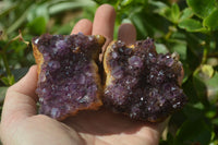 Natural Amethystos Amethyst Plates x 5 From Kwaggafontein, South Africa