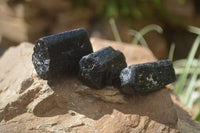 Natural Alluvial Schorl Black Tourmaline Crystals x 35 From Zimbabwe